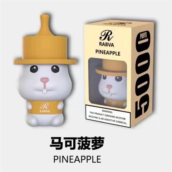 Rabva 5000 Puff Vape manufacturers