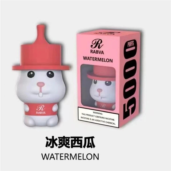 Rabva 5000 Puff Vape best